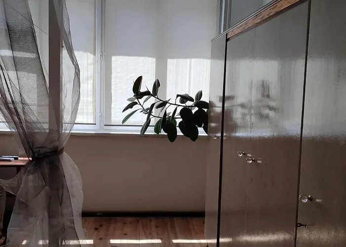 Insta Haus * 普罗夫迪夫